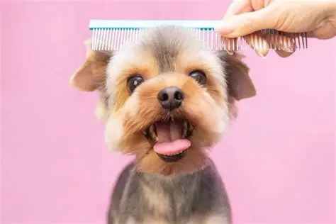 Een hond wordt liefdevol gewassen met natuurlijke producten bij Fluffy & Fresh